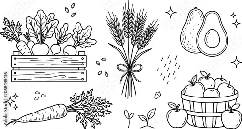 Quadro su tela Fresh agriculture harvest vector outline illustration set with garden vegetables