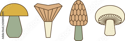Schilderij op canvas Minimalist mushroom icon set with wild chanterelle morel and champignon fungi ve