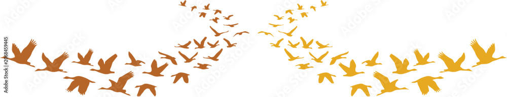 Obraz premium Abstract flock of flying birds vector graphic, migrating bird silhouettes in a dynamic, flowing pattern, symbolizing freedom and movement, ideal for nature-themed designs and environmental