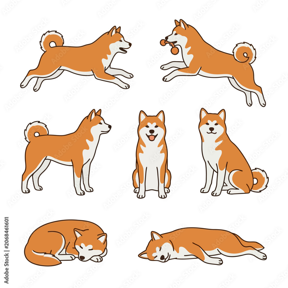 Obraz premium Comprehensive collection akita inu dog illustrations active and resting poses