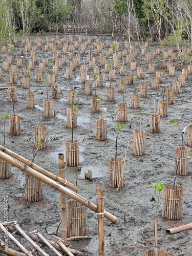 Nature Conservation Center and Mangrove Conservation Center the longest in Thailand at Samet district, Chonburi Province.	
