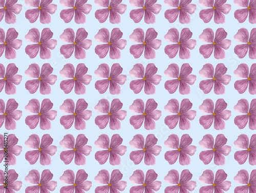 фотографія Pattern of pink flowers with five petals, consistently arranged in a grid on a light blue background