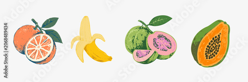 Hand drawn vintage tropical fruit collection featuring orange, guava, banana and papaya in retro engraved style. Ideal for food packaging, menus, branding and botanical designs.