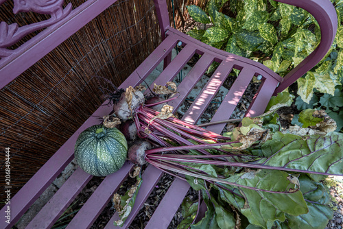 Frisch geerntete Zucchini und rote bete