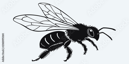 Schilderij op canvas Detailed stylized honey bee illustration in black and white with flying insect h