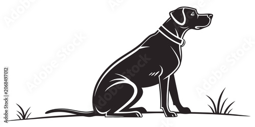 Black and white vector graphic of a sitting labrador dog with labrador silhouette illustration domestic training obedient isolated minimalist purebred companion watchful friendly activity