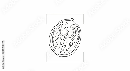 Abstract Line Art of a Walnut Half