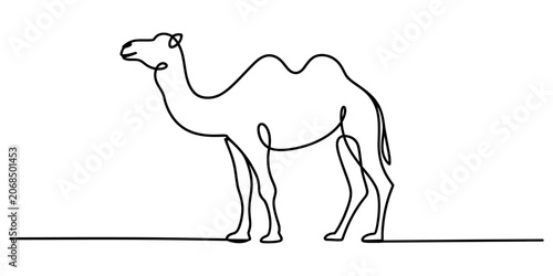 Canvastavla Camel animal continuous line drawing design Vector, illustration