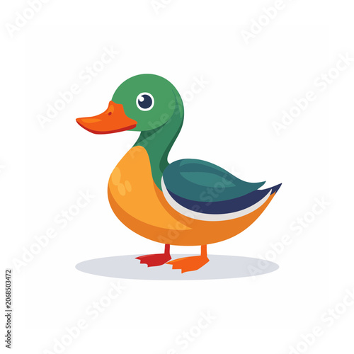 Cartoon Mallard Duck in Flat Design Style