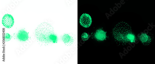 Cuadro en lienzo Bioluminescent green microscopic cells, glowing bacteria and virus particles on