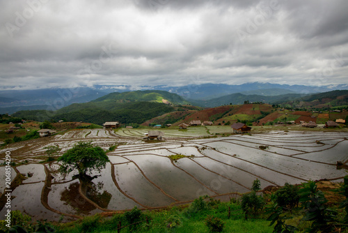 Breathtaking aerial perspective of vibrant rice terraces set against a backdrop of dramatic clouds in a serene countryside