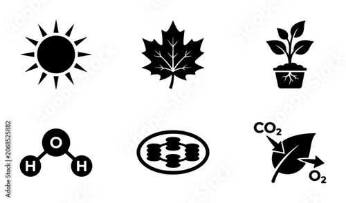 Fotografie Photosynthesis Icons Set, Biology Science Symbols, Plant Growth and Energy Conve