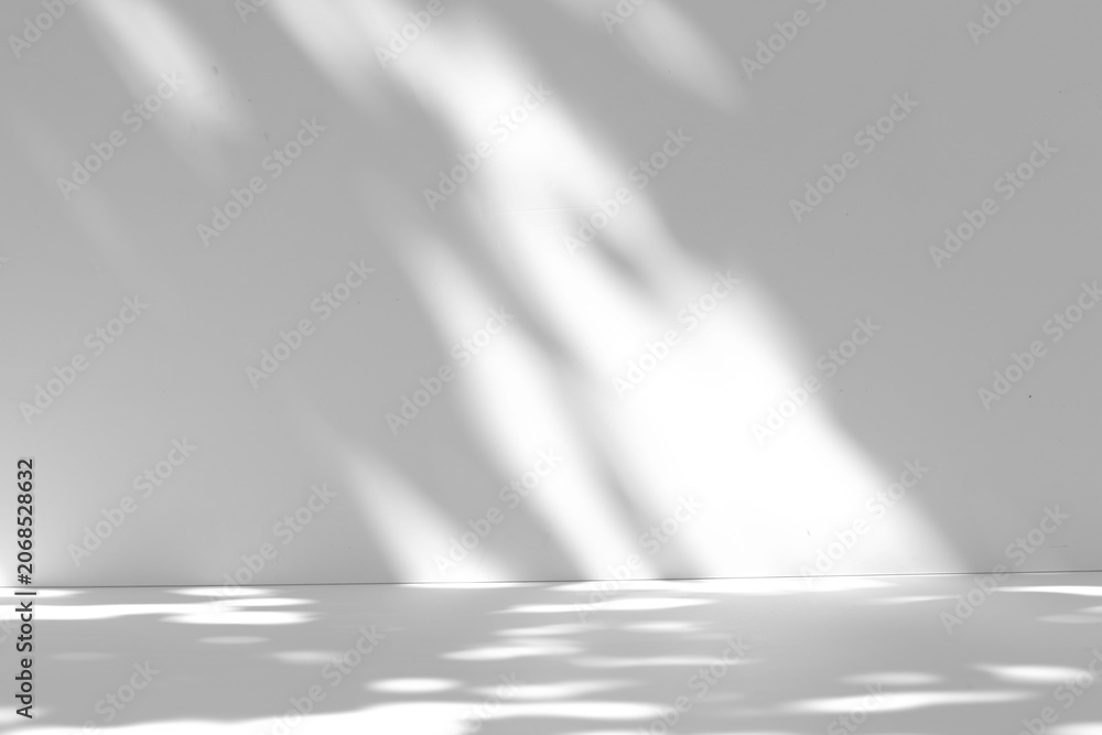 Fototapeta premium Tree leaf shadow overlay on the wall and floor isolated on a transparent background PNG