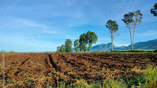 Plowed Agricultural Field in Mountain Province Philippines