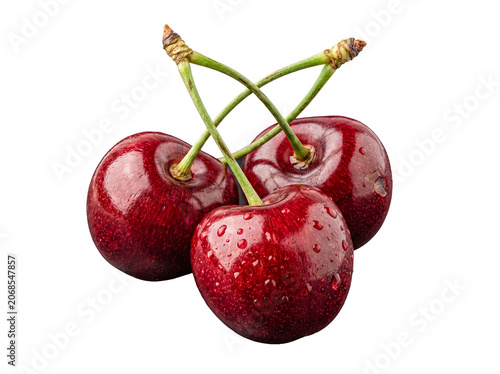 Cuadro en lienzo Lush dark red cherries with green stems and glistening water drops, isolated on a transparent background
