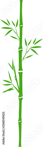 Green Bamboo Illustration Set for Korean and Asian Traditional Design 1