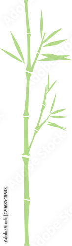 Green Bamboo Illustration Set for Korean and Asian Traditional Design 3