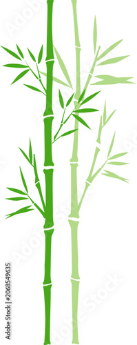 Green Bamboo Illustration Set for Korean and Asian Traditional Design 2