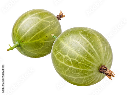 Two fresh green gooseberry fruits with short stems, isolated on a transparent background, healthy and delicious berries.