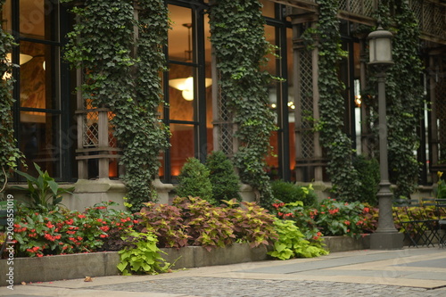 Urban cafe facade with ivy and greenery