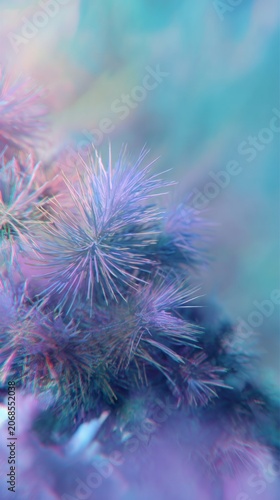 dancing in a pastel dream, strange garden, soft apocalypse.