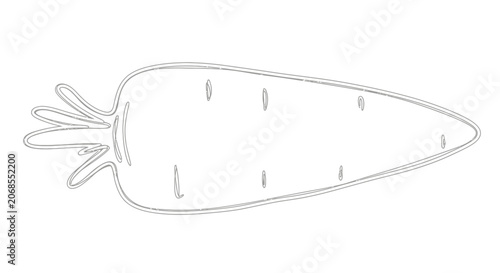 Outline of a Carrot, Vector Illustration, Simple Line Art, Healthy Food Concept