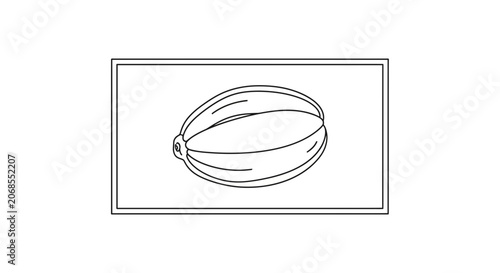 Outline Drawing of a Ripe Melon Fruit, Simple Line Art Illustration