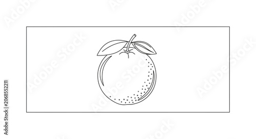 Outline of a Fresh Orange Fruit with Leaves and Stem on White Background