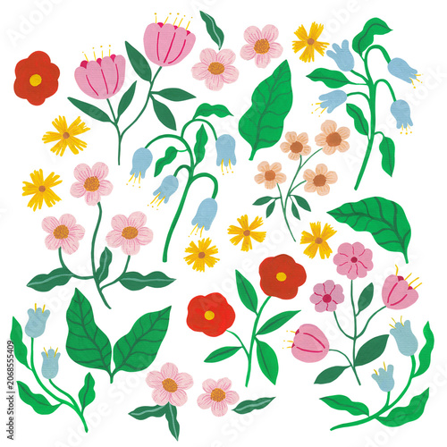 Colorful hand painted flowers