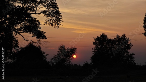 Valokuva Sunset behind the tree, orange sky.