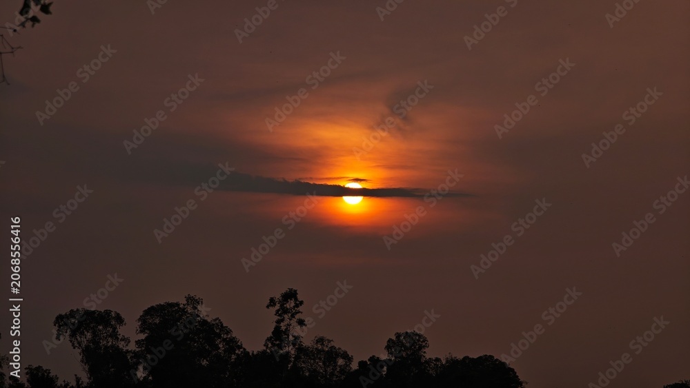 Fototapeta premium Sunset behind the tree, orange sky.