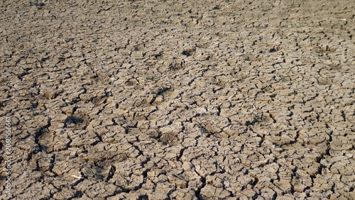 Mud crack or dried cracked soil. Arid background texture.