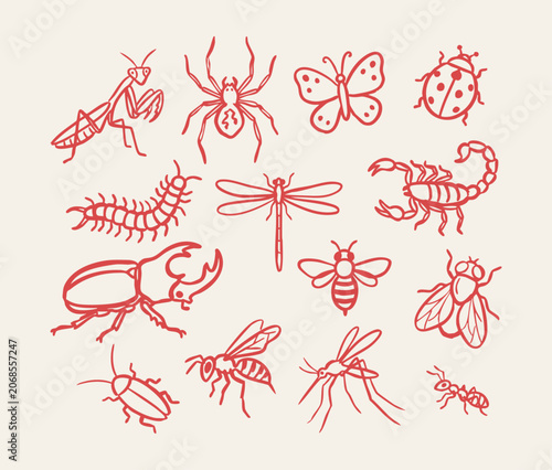 Hand drawn beautiful bugs and insects icon collection with stag beetle, butterfly, scorpion, centipede, praying mantis, grasshopper, ladybug and spider vector illustration