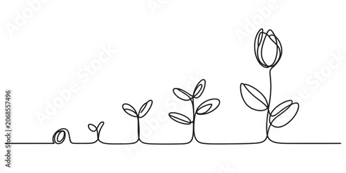 фотографія Continuous one line drawing of a plant growing from a seed to a flower