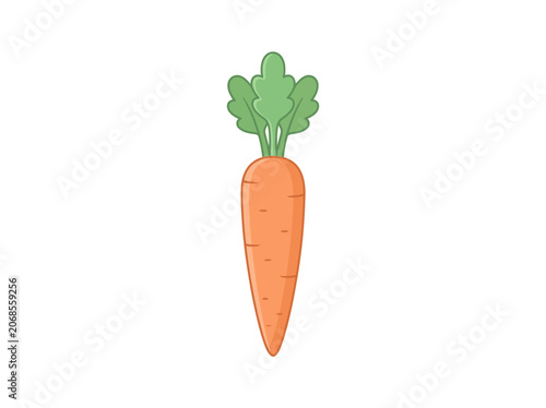 Fresh orange carrot with green leaves