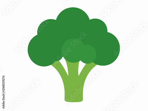 Fresh Green Broccoli Vegetable Flat Icon