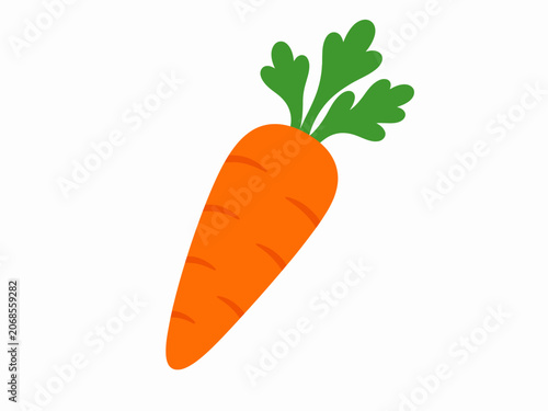 Fresh Orange Carrot Vegetable Illustration