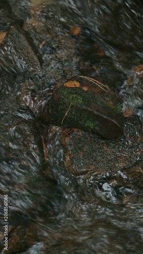 A close-up view of a rock partially submerged in flowing water. The surface is wet, with ripples and reflections visible. Natural setting with earthy tones.