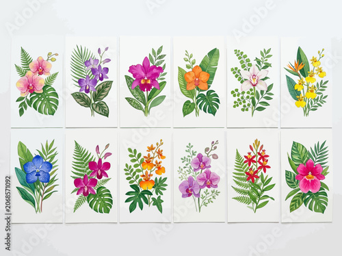 Tropical Flower Illustrations Set.