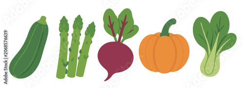 Фотография Horizontal banner row with cartoon zucchini, asparagus stalks, red beet, orange pumpkin and bok choy for healthy seasonal eating, cooking and autumn harvest illustration concepts