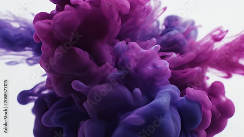 A captivating abstract image showcases swirling patterns of deep blue and vibrant magenta ink gracefully dispersing in water against a clean white background.