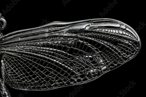 Macro Wing Mercury