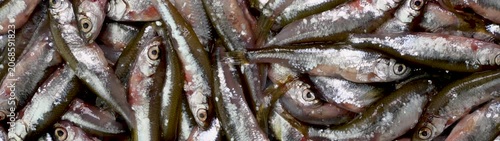 Fresh small fish creating a bountiful market display Healthy food representing sea harvest and ocean bounty.