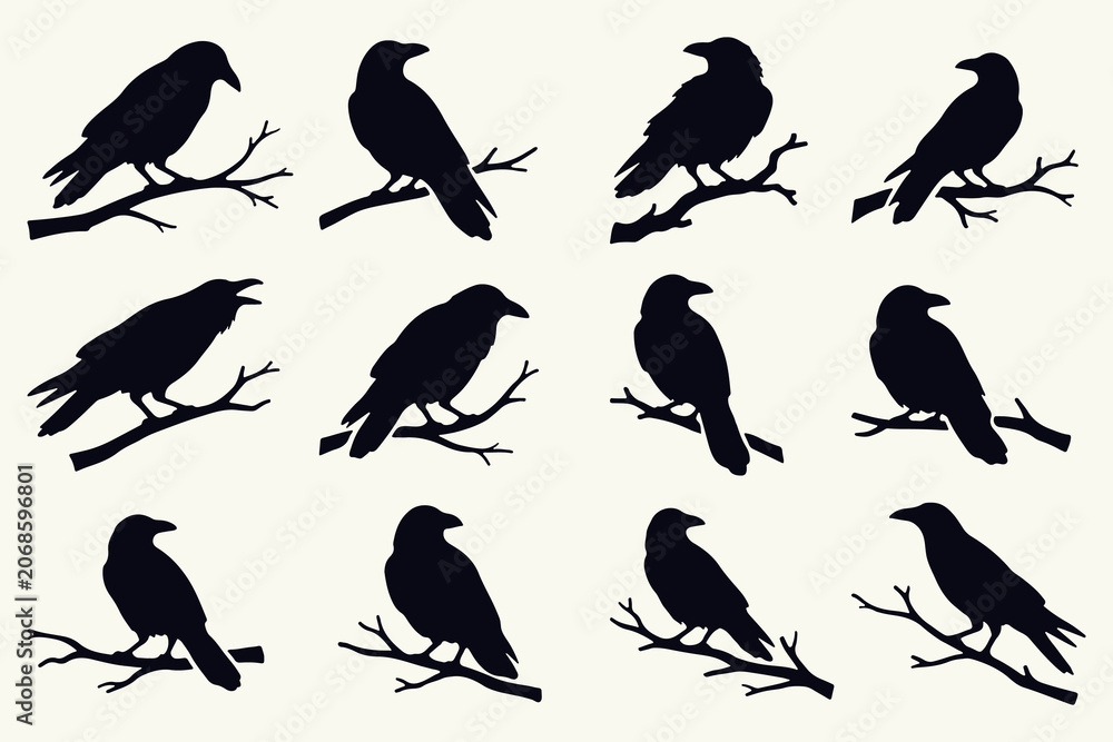 Fototapeta premium Set of black ravens silhouettes sitting on branches vector illustration