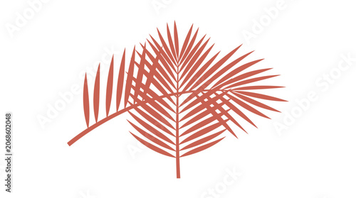 Terracotta Palm Leaves Silhouette on White Background, Minimalist Tropical Botanical Design