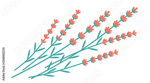 Coral Lavender Flowers Illustration on White Background