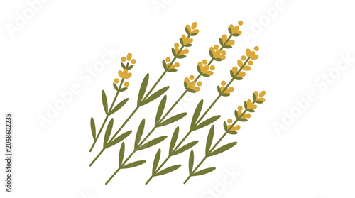Minimalist Yellow Lavender Sprigs Illustration, Botanical Element, Simple Design