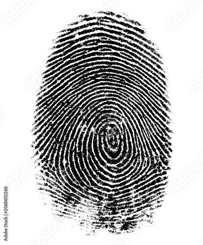 black fingerprint, highly detailed fingerprint texture