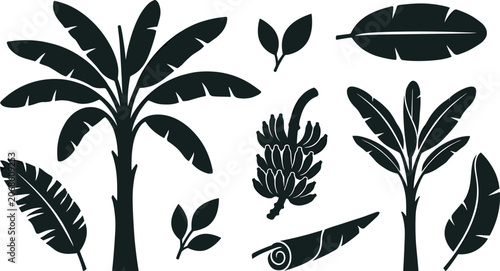 Banana Tree Silhouette Illustration Set with Tropical Leaves, Banana Bunch, Botanical Foliage Elements, Exotic Plant Shapes, and Nature Icons