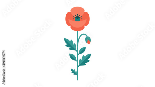 Single Coral Poppy Flower with Bud and Leaves, Flat Design, Isolated on White